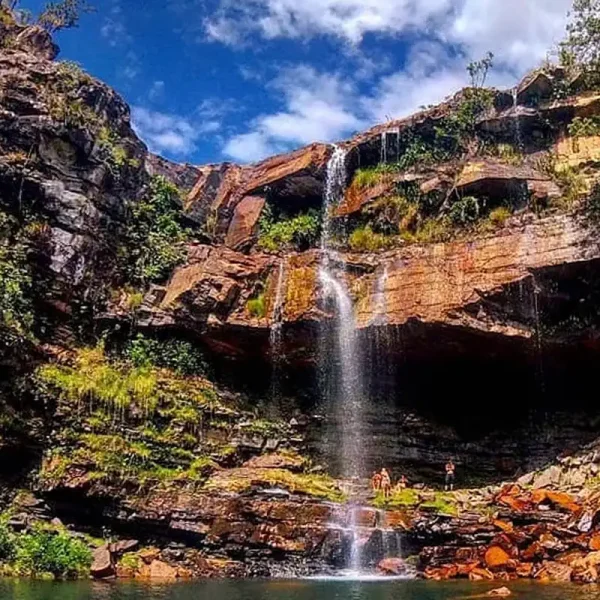 Criança de 8 anos é atacada por onça na Chapada dos Veadeiros