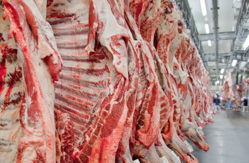 Governo promete reverter veto da UE a carnes e animais brasileiros