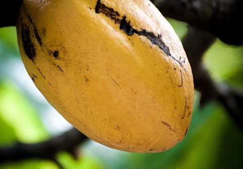 [post_title] Brazil news