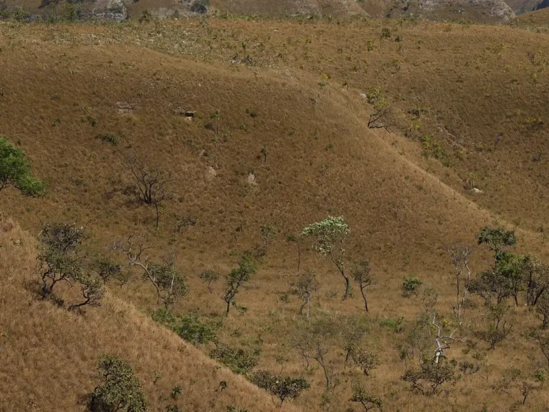MapBiomas: fragmentação de áreas naturais quase triplicou em 40 anos