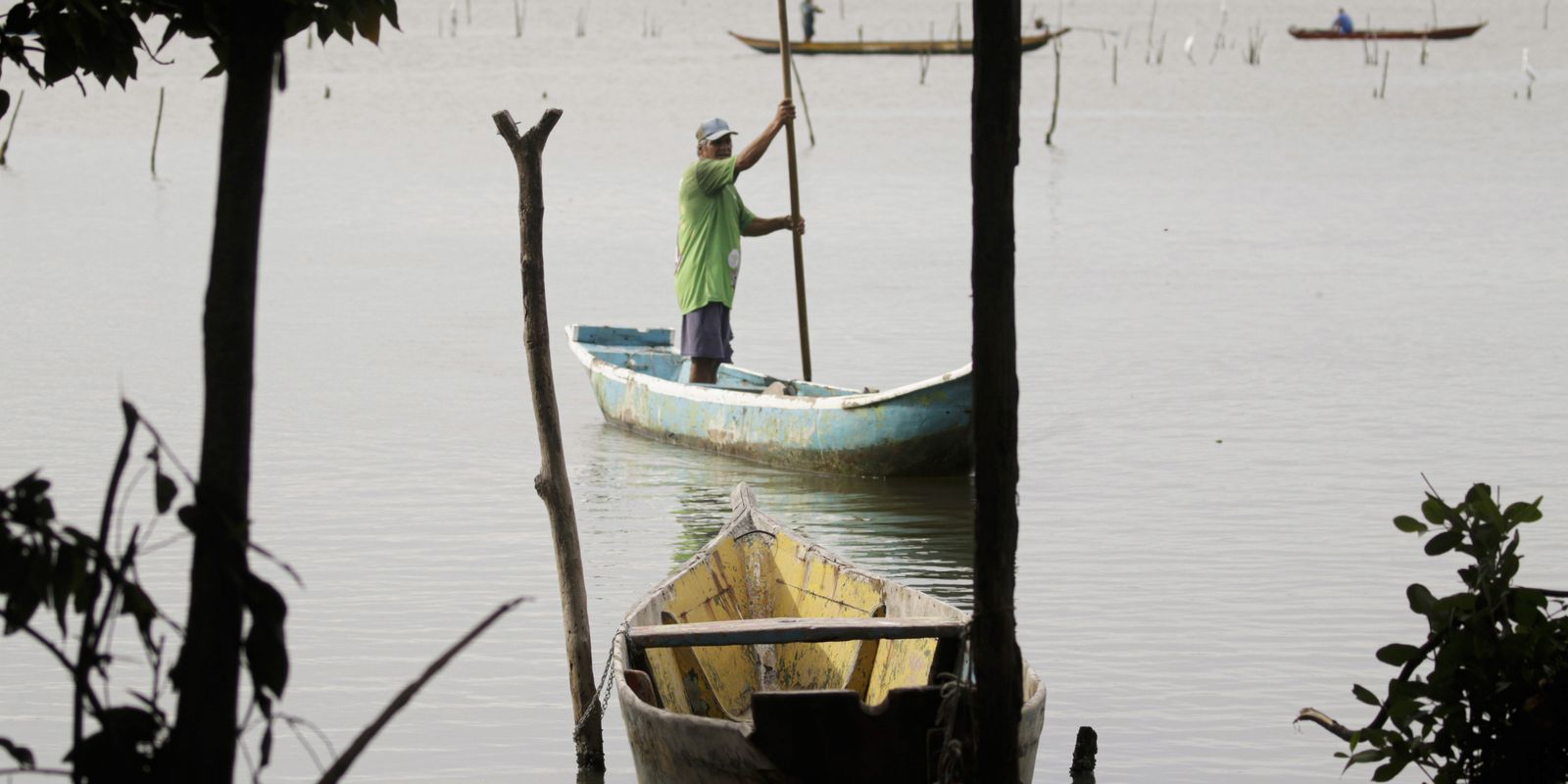 Conferências estaduais de aquicultura e pesca serão em junho e julho| Agência Brasil