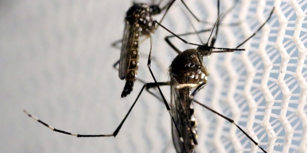 Quase metade dos municípios brasileiros está em alerta ou risco para o Aedes aegypti