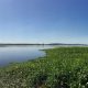 Brazil news [title_words]