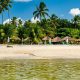 post_title] Brazil news