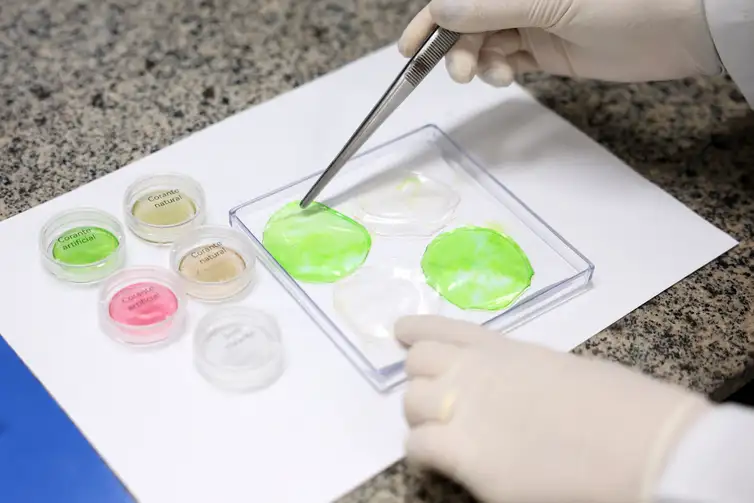 Valter Campanato/Agência Brasil Brasília (DF), 26/05/2026 - O laboratório de nanotecnologia da Embrapa produz em caráter experimental substitutos veganos de carne vermelha, salmão e lula por meio de uma impressora carregada de massa feita do extrato de sementes. Foto: Valter Campanato/Agência Brasil