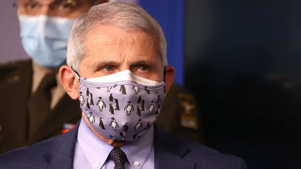 Dr. Anthony Fauci wearing a protective mask during a White House press briefing