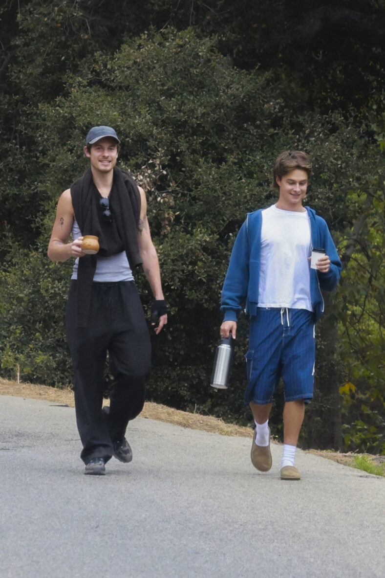 Shawn Mendes passeando