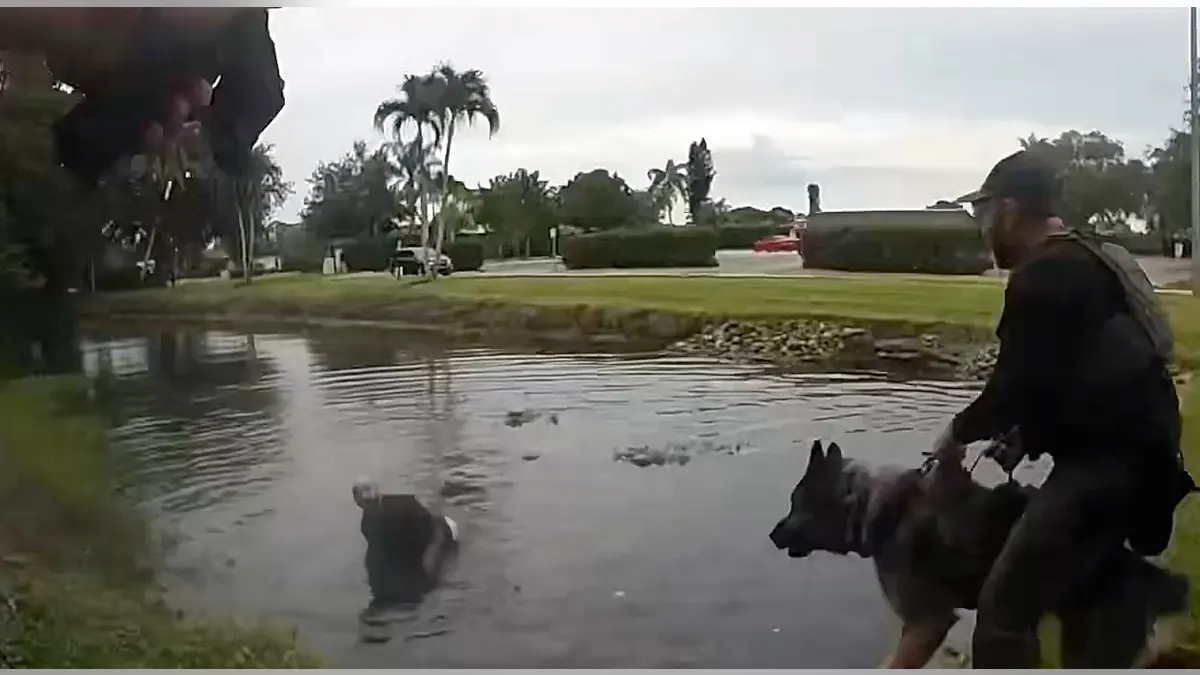 A law enforcement K-9 handler and police dog search near a body of water during an operation to locate a fleeing suspect.