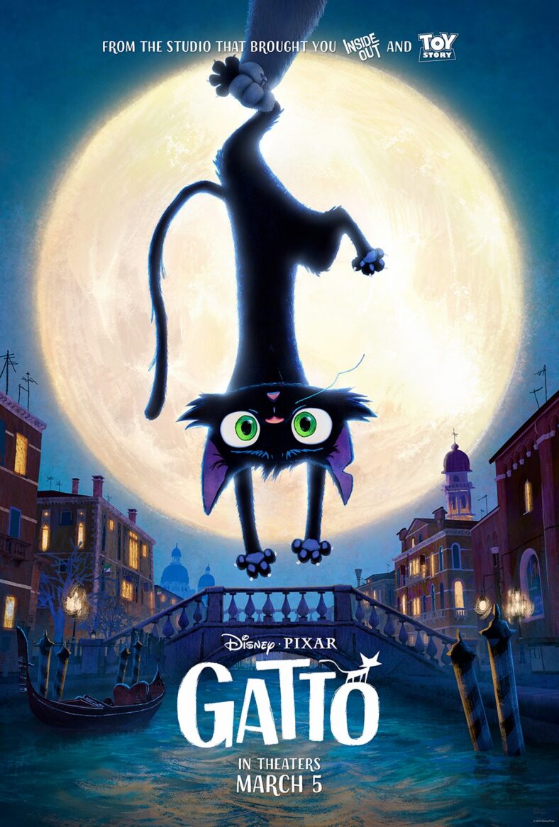Pôster do filme Gato