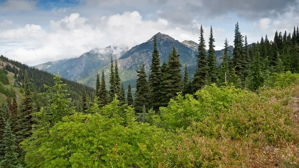 Mount Angeles mountain peak in Olympic National Park near Port Angeles Washington