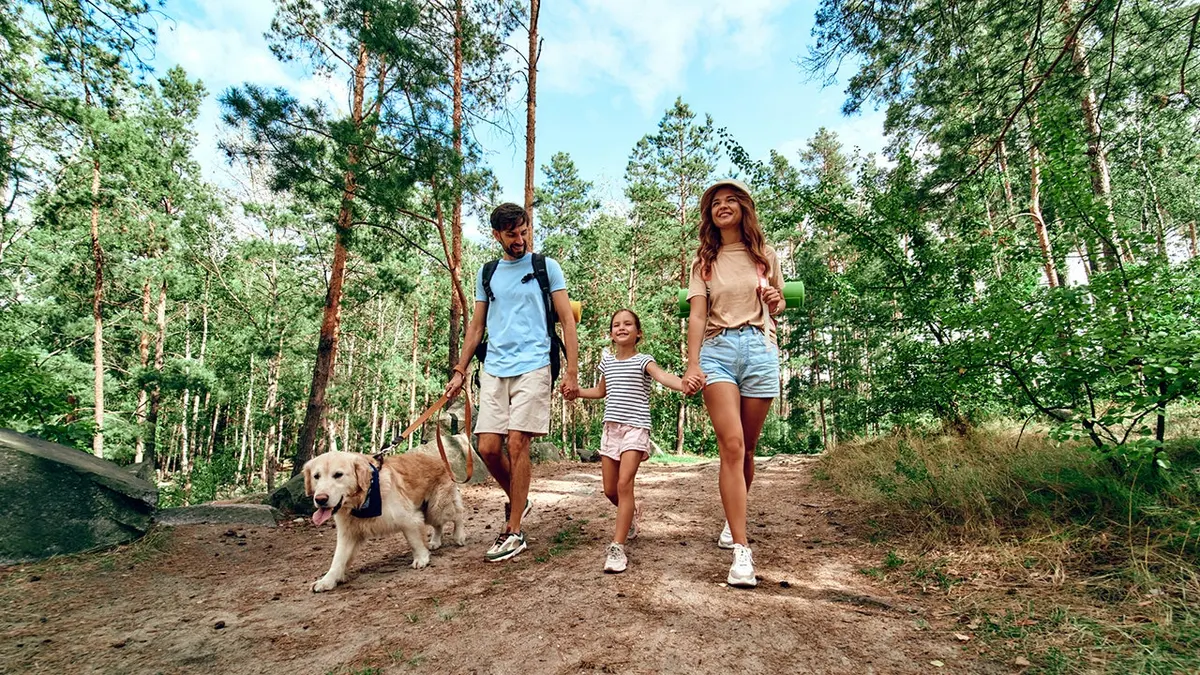 Happy family walking with backpacks and a labrador dog in the forest