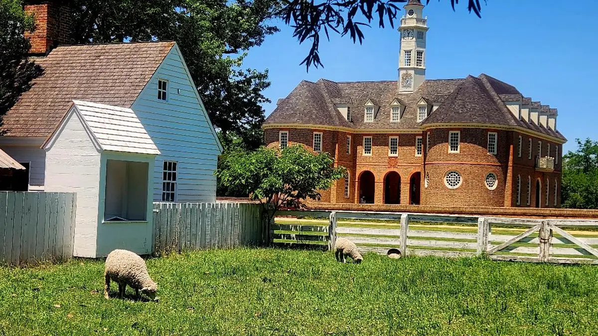 A sheep grazes near colonial buildings.