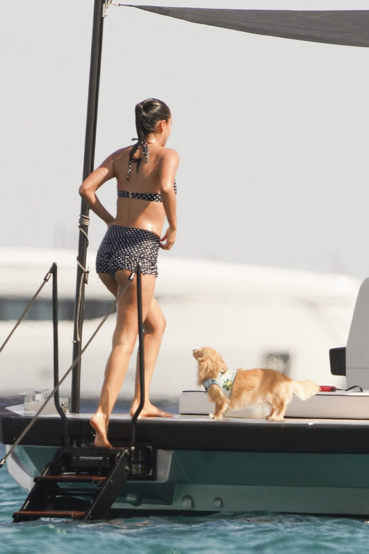 Alexandra Saint Mleux e o cachorrinho Leo a bordo de um barco em Saint-Tropez