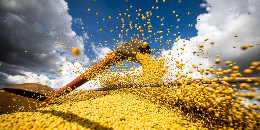 IBGE: safra agrícola bate recorde e valor da produção chega a R$ 927,2 bilhões em 2025