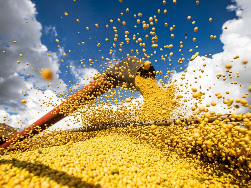Conab: produção de grãos pode chegar a 358,6 milhões de toneladas