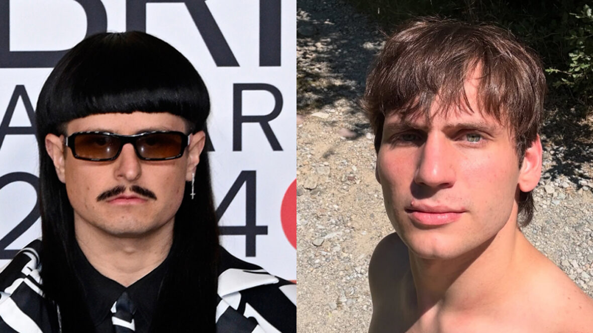 oliveira-gaspi Oliver Tree Gaspi