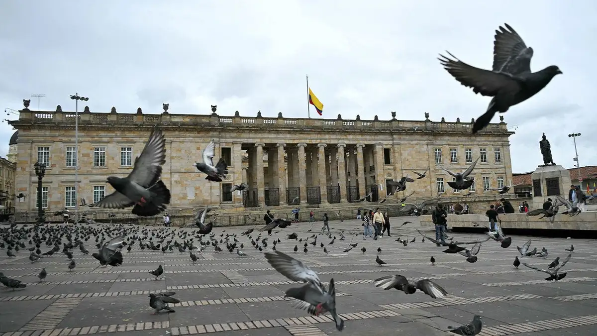 Birds flying near Bolivar Square with the Congress of Colombia in the background