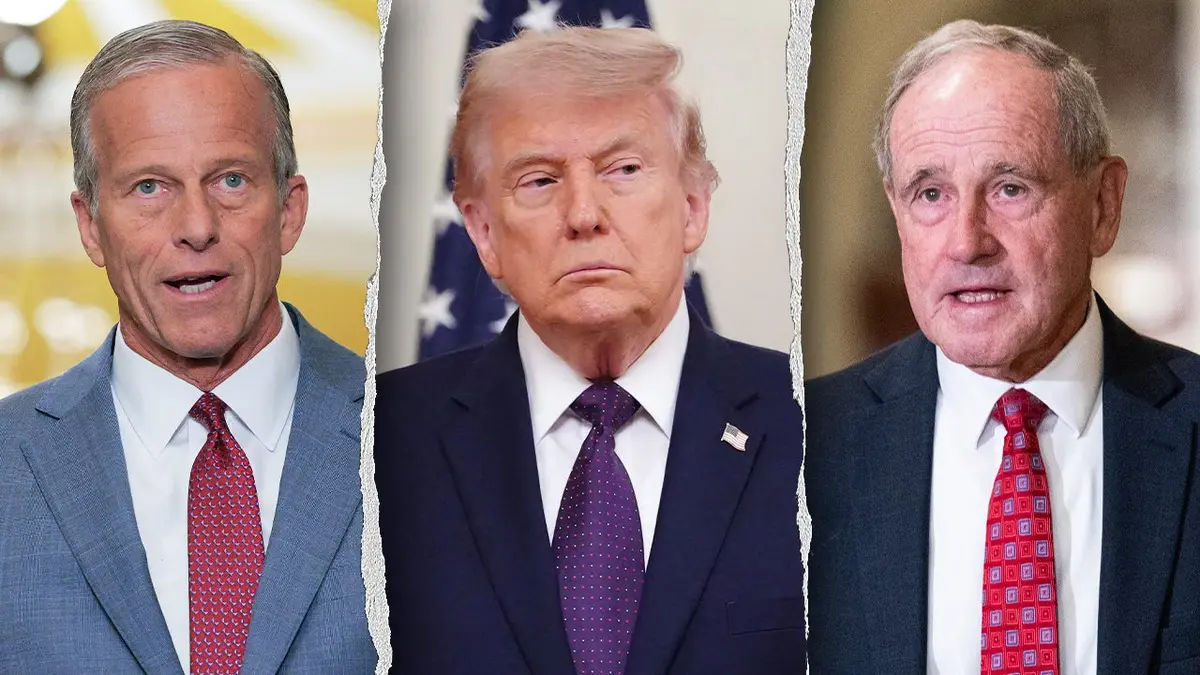 Thune, Trump and Risch split image