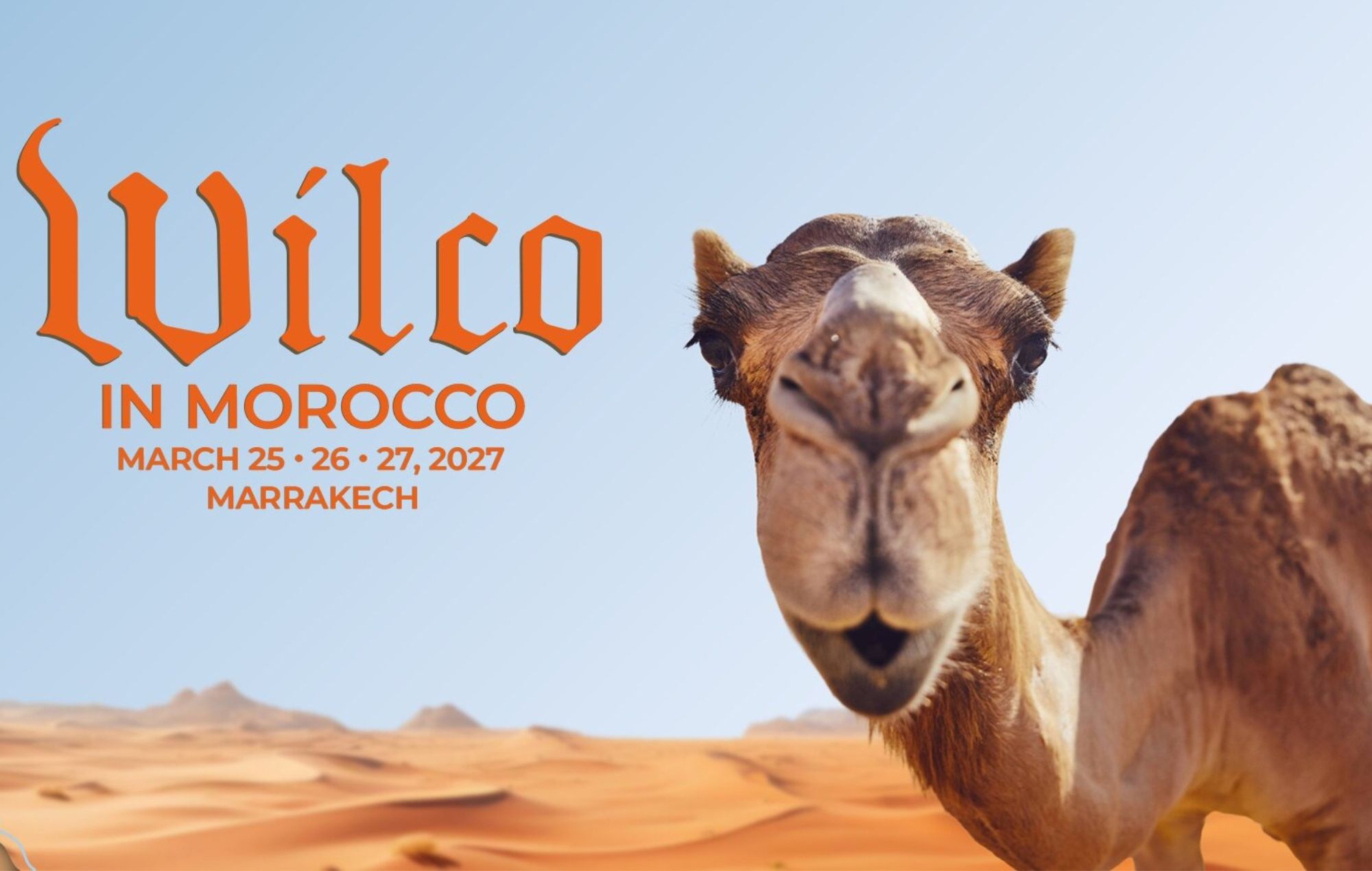 Wilco In Morocco poster