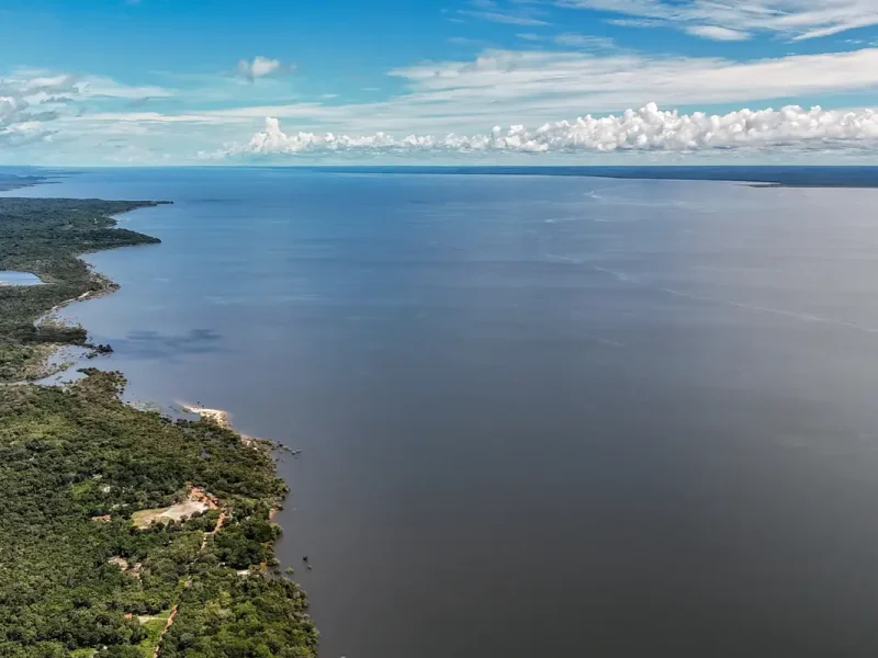 Dia do Meio Ambiente reforça importância de ações sustentáveis no país