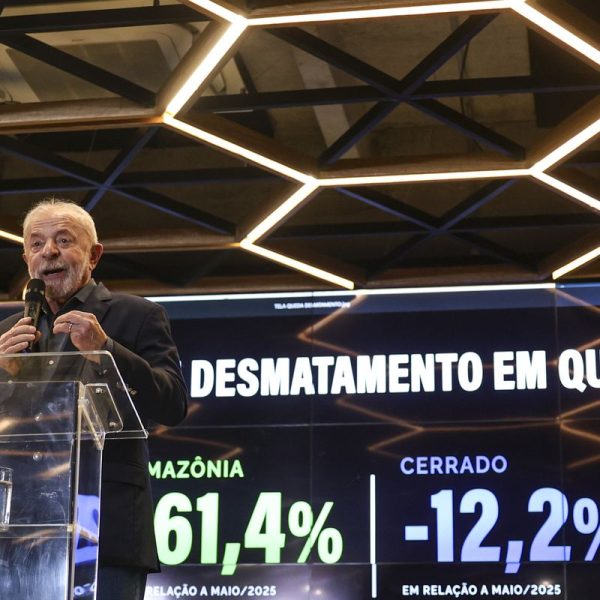 Desmatamento na Amazônia cai 61,4% em maio de 2026