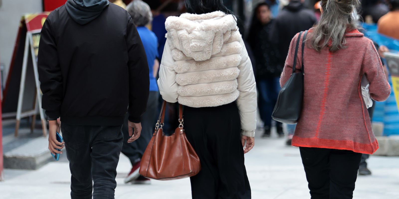 Inmet alerta para baixa temperatura e risco de geada no Sul e Sudeste