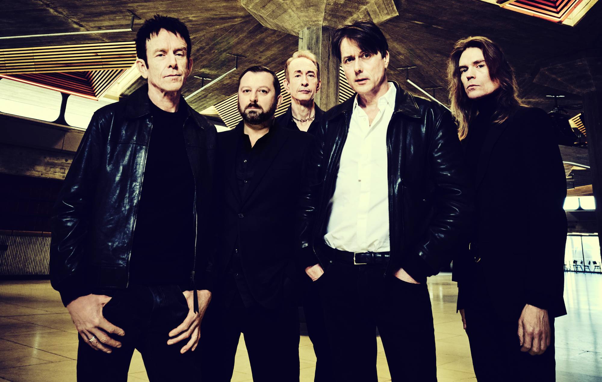 Suede. CREDIT: Dean Chalkley