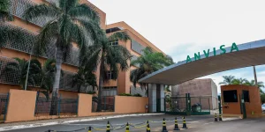 Anvisa aprova Columvi, novo medicamento da Roche para linfoma não Hodgkin agressivo