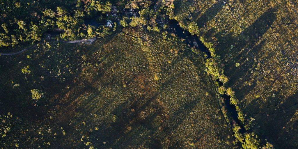 CMN aprova juros menores para projetos rurais sustentáveis na safra 2026/2027