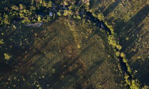 CMN aprova juros menores para projetos rurais sustentáveis na safra 2026/2027