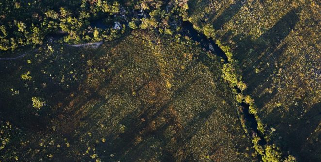 CMN aprova juros menores para projetos rurais sustentáveis na safra 2026/2027