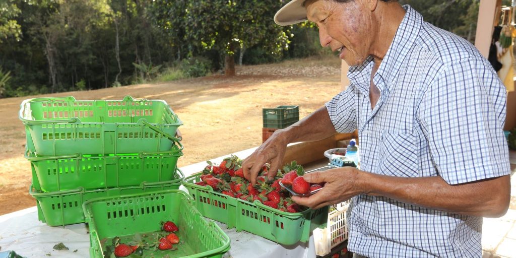 Finep destina R$ 220 milhões a inovações para agricultura familiar e aquicultura