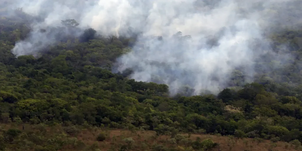 Emissões globais de gases por incêndios atingem menor patamar em 24 anos, aponta Copernicus
