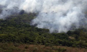 Emissões globais de gases por incêndios atingem menor patamar em 24 anos, aponta Copernicus