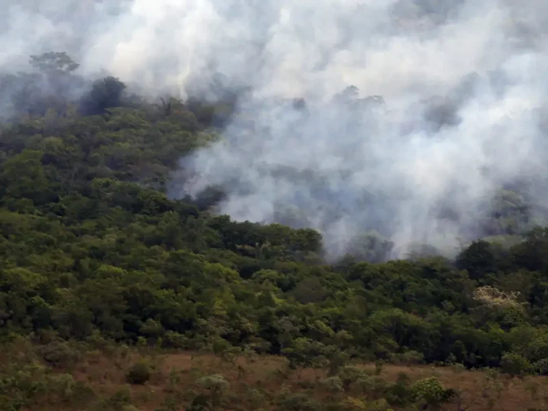 Emissões globais de gases por incêndios atingem menor patamar em 24 anos, aponta Copernicus