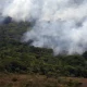 Emissões globais de gases por incêndios atingem menor patamar em 24 anos, aponta Copernicus