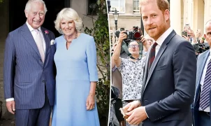 Rainha Camila foi peça-chave na reconciliação entre Harry e Charles, diz biógrafa