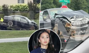 Atriz de Godzilla vs. Kong, Kaylee Hottle morre aos 18 anos em acidente de carro em Maryland