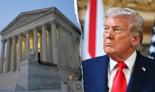 Trump calls on Supreme Court to rehear birthright citizenship case