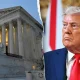 Trump calls on Supreme Court to rehear birthright citizenship case