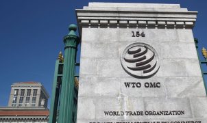 Brasil recorre à OMC para contestar tarifas dos EUA de 25% e 12,5% sobre produtos nacionais