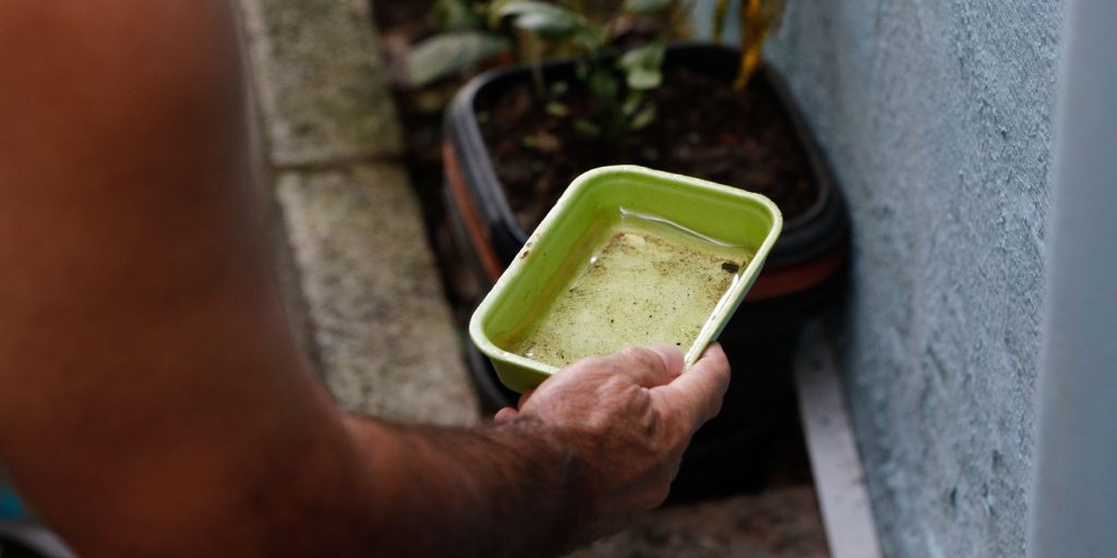 El Niño pode impulsionar surto de dengue e chikungunya; Ministério da Saúde reforça alerta