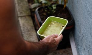 El Niño pode impulsionar surto de dengue e chikungunya; Ministério da Saúde reforça alerta