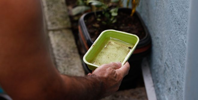 El Niño pode impulsionar surto de dengue e chikungunya; Ministério da Saúde reforça alerta