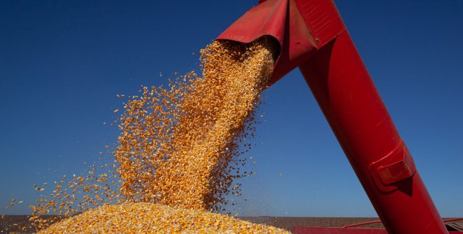 IBGE estima safra recorde de 347,4 milhões de toneladas para 2026