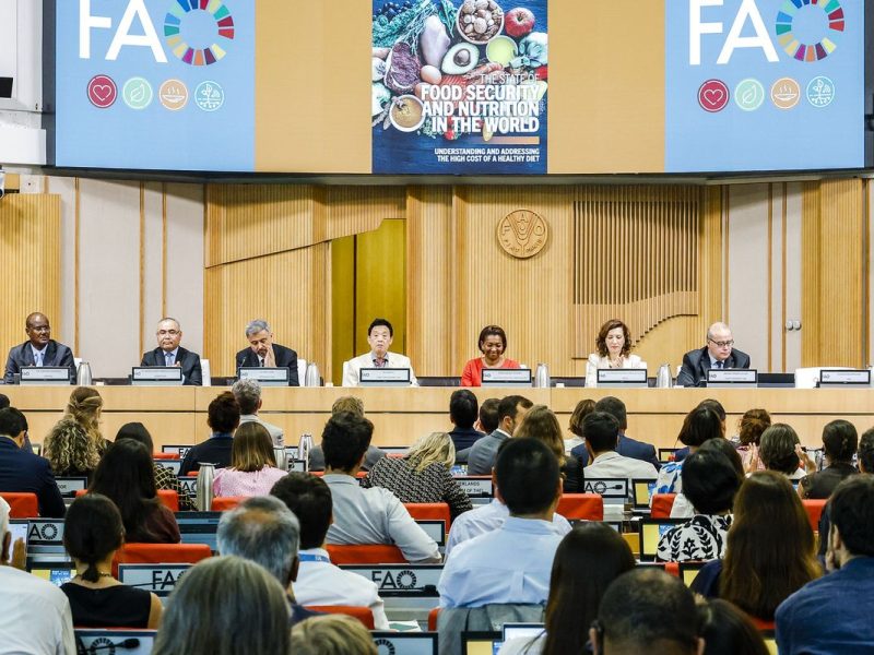 Brasil segue fora do Mapa da Fome pela segunda vez, aponta relatório da FAO