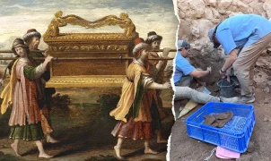 Ancient olive pits and lentils discovered at biblical Shiloh site by experts