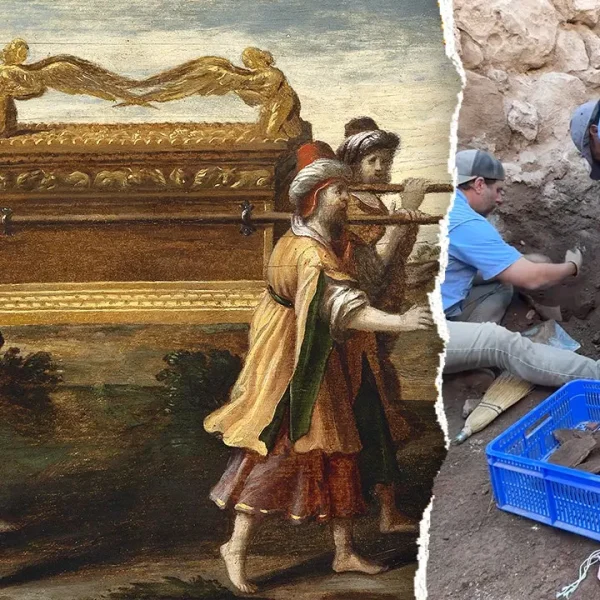 Restos de azeitonas e lentilhas de 3.500 anos são descobertos em sítio bíblico de Siló