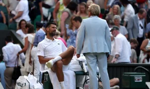 Novak Djokovic argues with Wimbledon official over roof during epic win