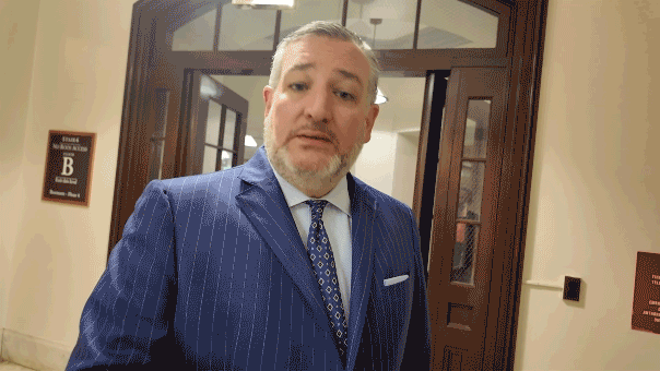 Cruz pede prisão de Fauci por desacato e perjúrio após depoimento no Senado
